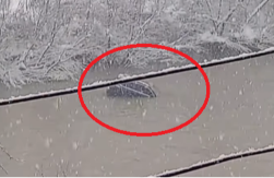 JEZIV SNIMAK, NABUJALI LIM NOSI AUTO Drama kod Priboja, sve zabeleženo kamerom (VIDEO)